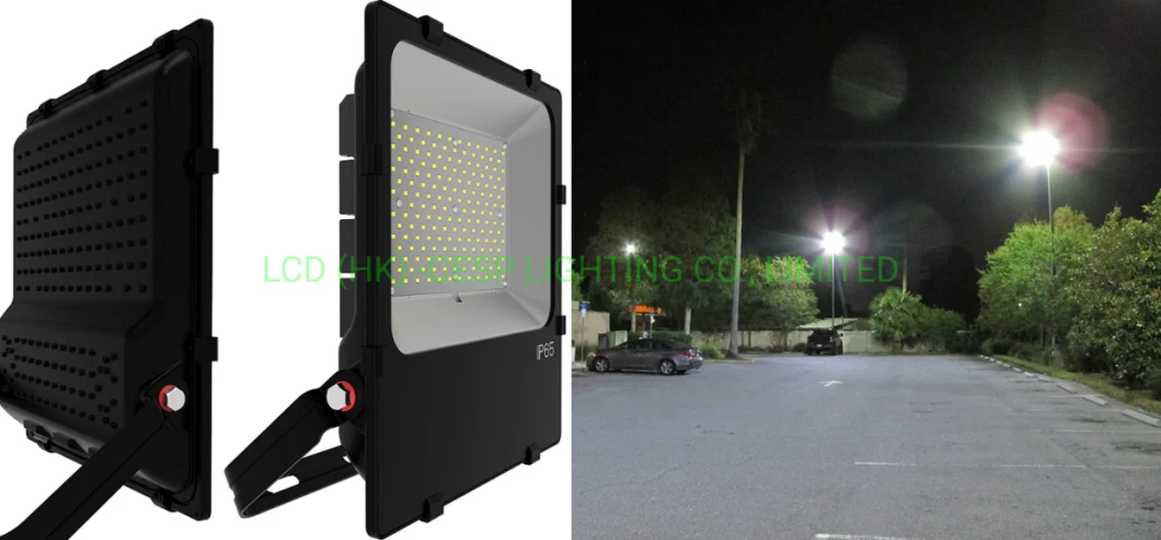 IP66 LED Flood Lights 10W 30W 50W 80W 100W Bowlight Remote Control 150lm/W 6000K Lighting Luminaire