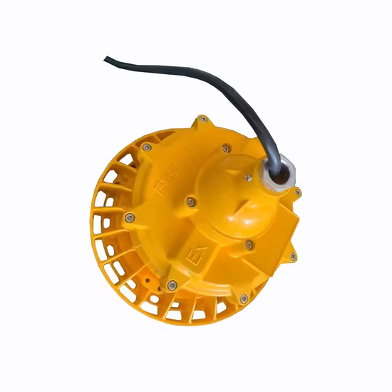 Luce LED Exproof 60