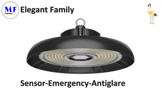 Highbay Light Warehouse Light UFO Lights Apparecchio 100W 150W 200W 150lm/W IP66 Prezzo di fabbrica High Bay Light